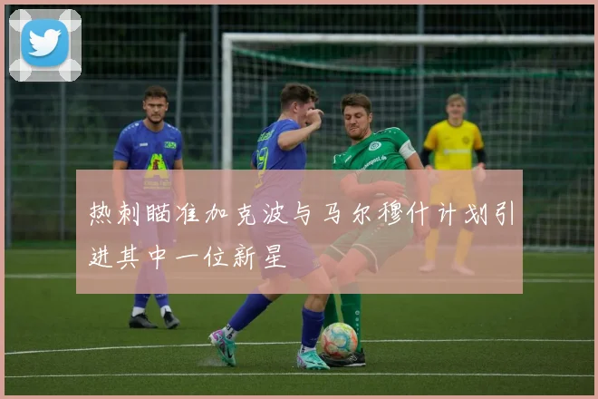 热刺瞄准加克波与马尔穆什计划引进其中一位新星