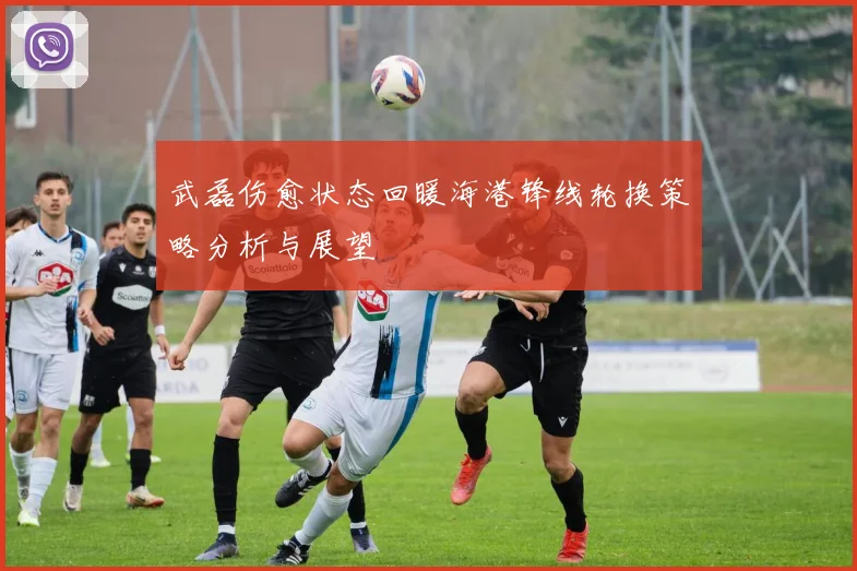 武磊伤愈状态回暖海港锋线轮换策略分析与展望
