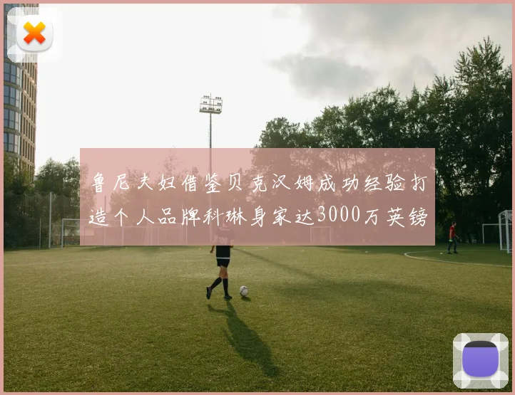 鲁尼夫妇借鉴贝克汉姆成功经验打造个人品牌科琳身家达3000万英镑
