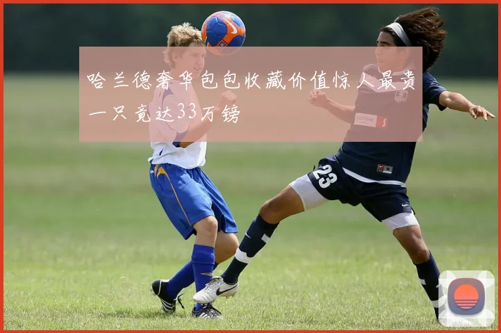 哈兰德奢华包包收藏价值惊人最贵一只竟达33万镑