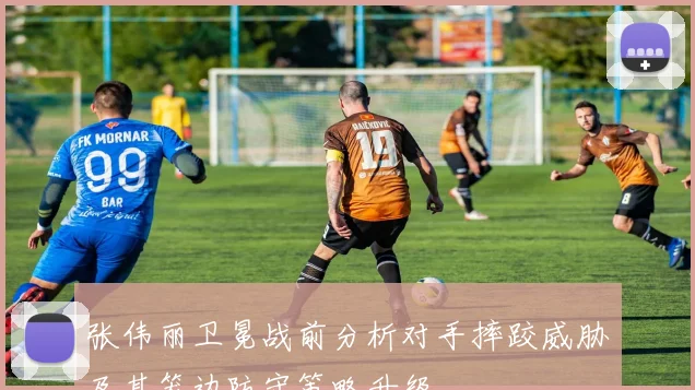 张伟丽卫冕战前分析对手摔跤威胁及其笼边防守策略升级
