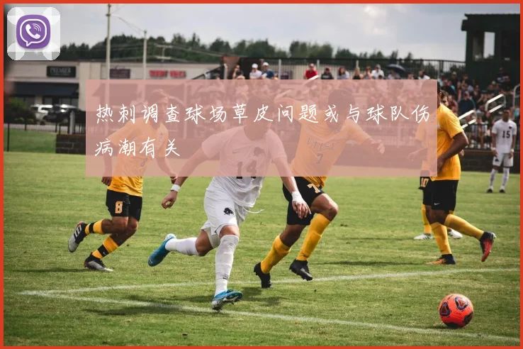 热刺调查球场草皮问题或与球队伤病潮有关